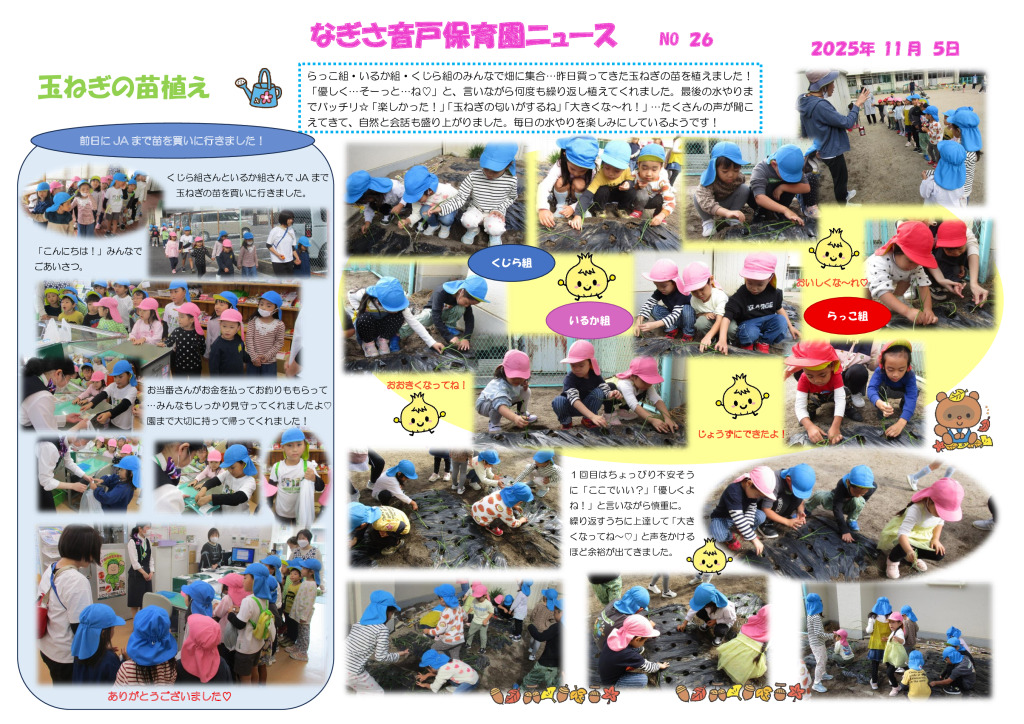 11月　玉ねぎの苗植えのサムネイル